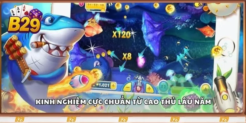Kinh nghiệm cực chuẩn từ cao thủ lâu năm