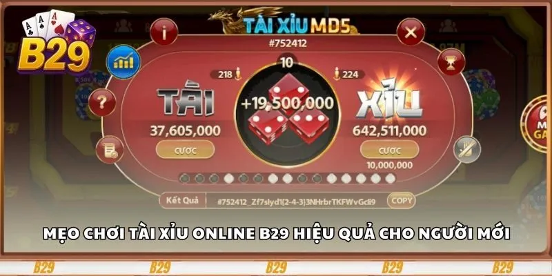 Điểm danh một vài mẹo chơi tài xỉu online B29 hiệu quả 