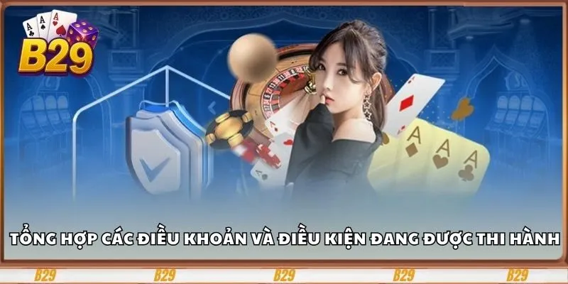 Điều Khoản Và Điều Kiện B29 Mới Nhất Mà Bạn Cần Biết 2 Tổng hợp các điều khoản và điều kiện đang được thi hành